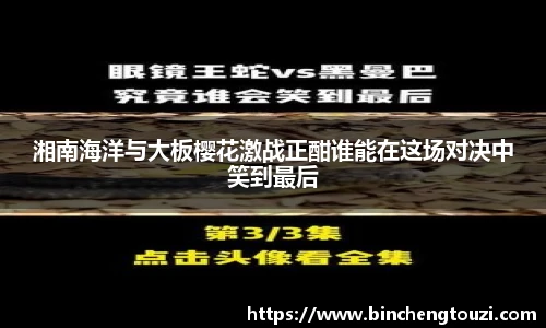 湘南海洋与大板樱花激战正酣谁能在这场对决中笑到最后